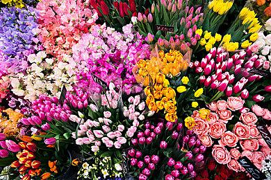 Switch 2传闻：将支持DLSS和光追 性能媲美PS5