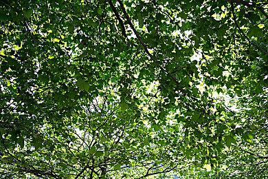 《木卫四协议》在日本取消发售 因无法通过游戏评级